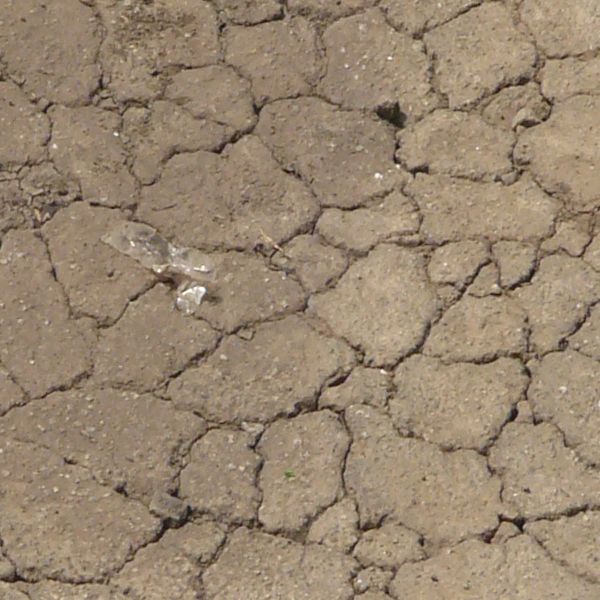 Brown asphalt, cracked into many small, dried areas. Small areas of trash debris and crumbling rock are also visible.